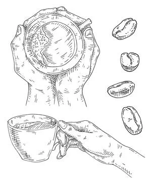 Set coffee. Two hands hugging a cup and beans. Vintage black vector engraving Illustration