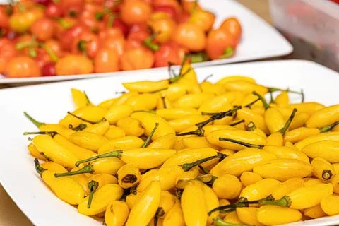 Set of collected pepper berries Stock Photos