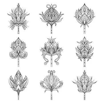 Set, collection of isolated hand drawn black outline monochrome ornate flower Stock Illustration