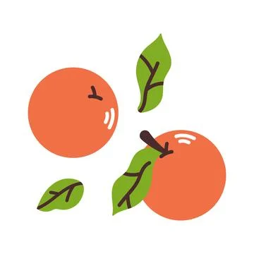 Set collection of oranges with leaves. Flat modern vector illustration. Stock Illustration