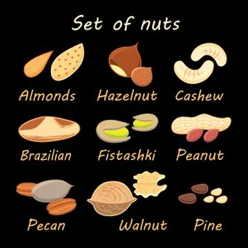 Set collection of various nuts Stock Illustration