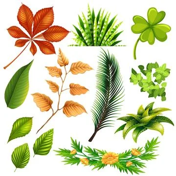 Set collection vector illustration green leaves on transparent background Stock Illustration