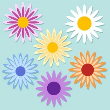 Set of color daisy chamomile. Cute flower plant collection. Stock vector illu Stock Illustration