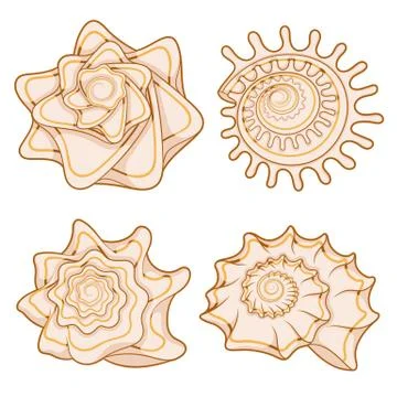 Set of color graphic sea shells. Isolated objects with shadow on white. Stock Illustration