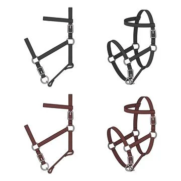 Set of color illustrations with leather halter, headstall, bridle Stock Illustration