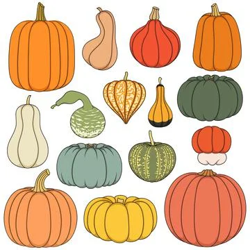 Set of color illustrations with pumpkins of different shapes and varieties. Stock Illustration