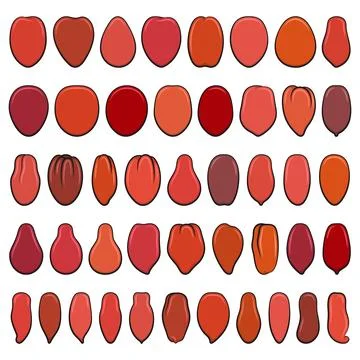 Set of color illustrations with red tomatoes Stock Illustration