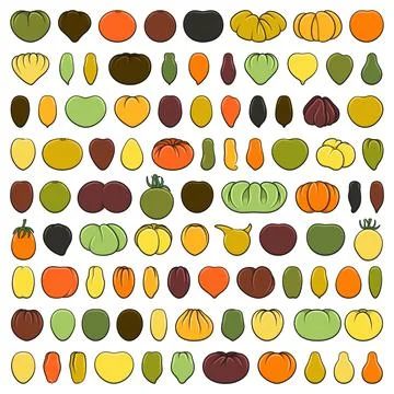 Set of color illustrations with tomatoes. Stock Illustration