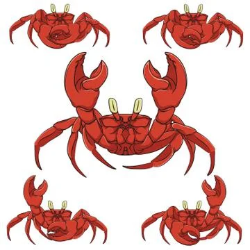 Set of color vector crabs. Isolated objects. Stock Illustration