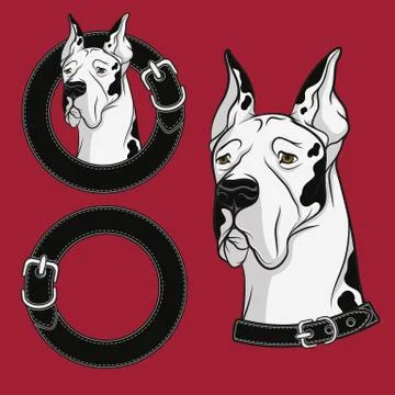 Set of color vector drawing of the dog in the collar. Stock Illustration