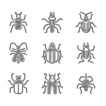 Set Colorado beetle, Beetle bug, Spider, Stink, Clothes moth, Chafer and  i.. Stock Illustration