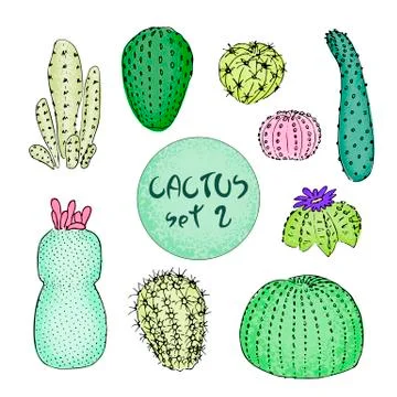 Set of colored cactuses, hand drawn vector illustration. outline sketch Stock Illustration