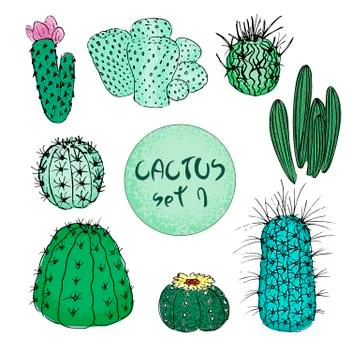Set of colored cactuses, hand drawn vector illustration. outline sketch Stock Illustration