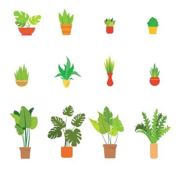 Set of colored houseplants flat vector Stock Illustration