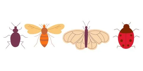 Set colored insect Beetle, Butterfly, Bee, Ladybug Stock Illustration
