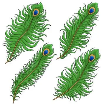 Set of colored peacock feather. Vector isolated objects. Stock Illustration