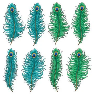 Set of colored peacock feather. Vector isolated objects. Stock Illustration
