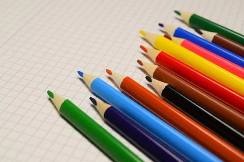 Set of colored pencils on white grid paper Stock Photos