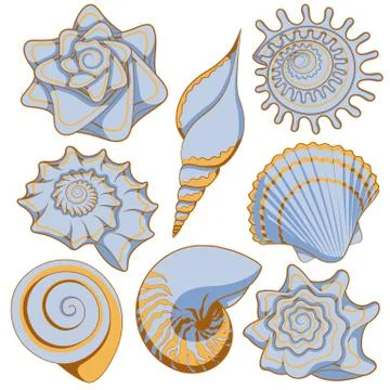 Set of colored sea shells. Isolated vector objects on white. Stock Illustration