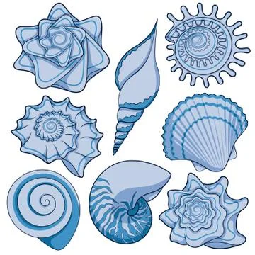 Set of colored sea shells. Isolated vector objects on white. Stock Illustration