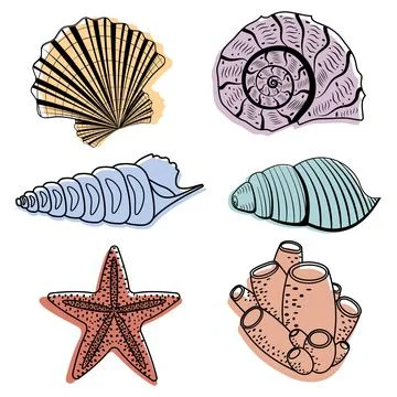 A set of colored seashells. Isolated vector illustration on a white background Stock Illustration