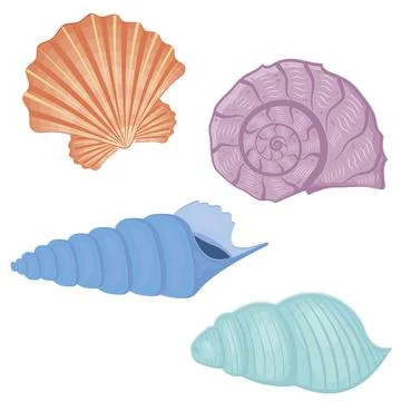 A set of colored seashells. Isolated vector illustration on a white backgroun Illustrazione stock