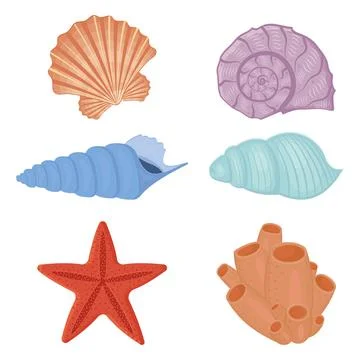 A set of colored seashells. Isolated vector illustration on a white backgroun Stock Illustration