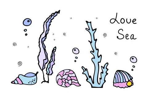 Set of colored shells with pearls with air bubbles near algae. Doodle style with Illustrazione stock