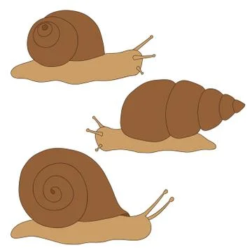 Set of colored snails. Drawing hand. Stock Illustration