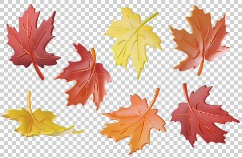 Set of colorful 3D fall autumn maple leaves Stock Illustration