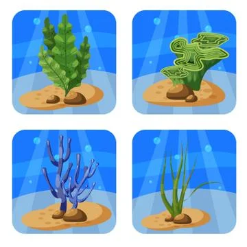 Set of colorful corals and algae on a blue background. Natural underwater vector Stock-Illustration