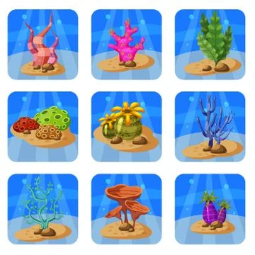 Set of colorful corals and algae on a blue background. Natural underwater vector Illustrazione stock