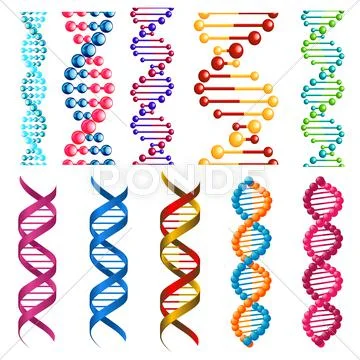 Set of colorful DNA molecules Stock Illustration