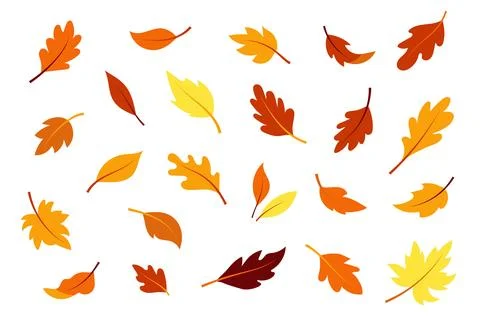 Set of colorful flat vector autumn leaves on white background イラスト素材