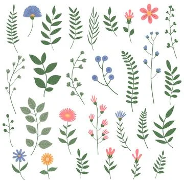 Set of colorful flower elements isolated on white background. Design flouri.. Stock Illustration