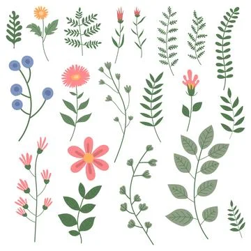 Set of colorful flower elements isolated on white background. Design flouri.. Stock Illustration