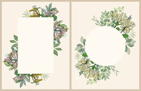 Set of Colorful frame borders with honeysuckle. Stock-Illustration
