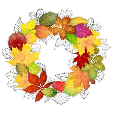 Set of colorful leaves vector Stock Illustration