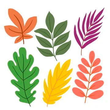 Set of colorful leaves on a white background in vector graphics. For the design Stock Illustration