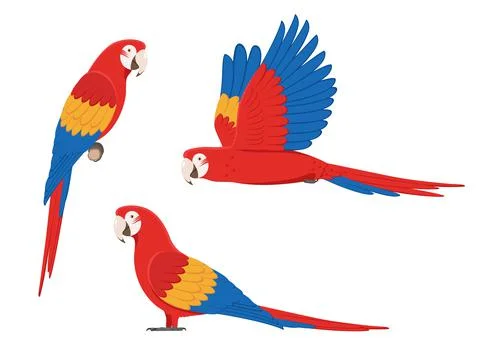 Set of colorful macaw parrots Illustrazione stock