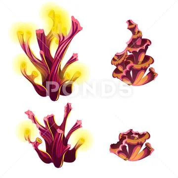 Set of colorful marine cartoon partially eaten algae and coral polyps isolated Stock Illustration