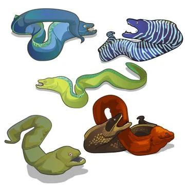 Set of colorful moray eels isolated on white background. Vector cartoon close-up Stock Illustration