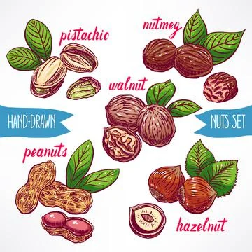 Set with colorful nuts Stock Illustration