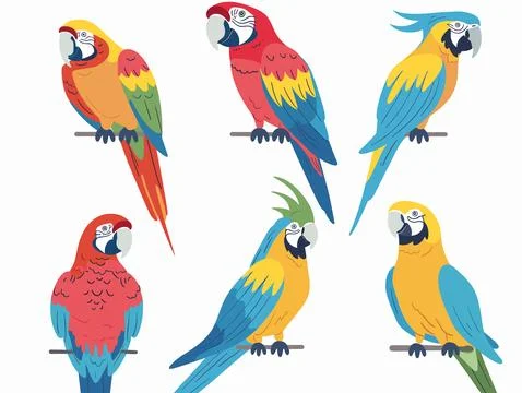 Set colorful parrot illustrations, different postures expressions. Beautiful イラスト素材