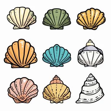 Set colorful seashell illustrations isolated white background. Various types Stock Illustration