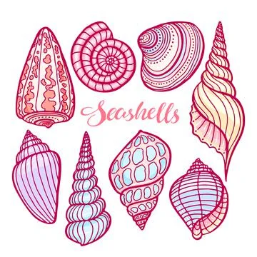 Set of colorful seashells Stock Illustration
