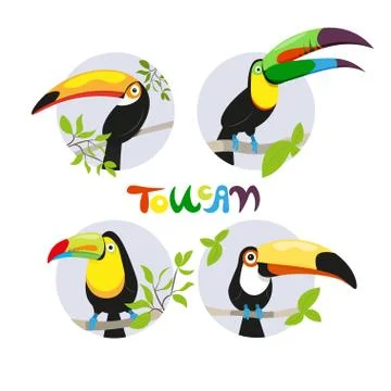 Set of colorful tropical birds in different design styles - toucan Stock Illustration