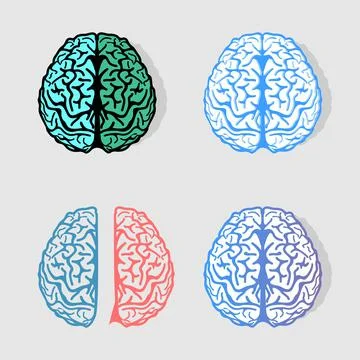 Set of colorful vector brains logos. Collection of anatomy elements. Group of Ilustración de archivo