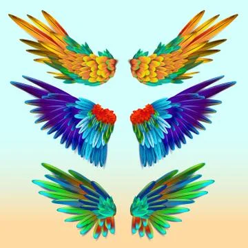 Set of colorful wings Illustrazione stock