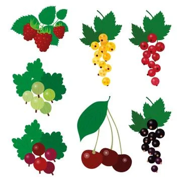 Set of colourful simple vector garden berries Illustrazione stock